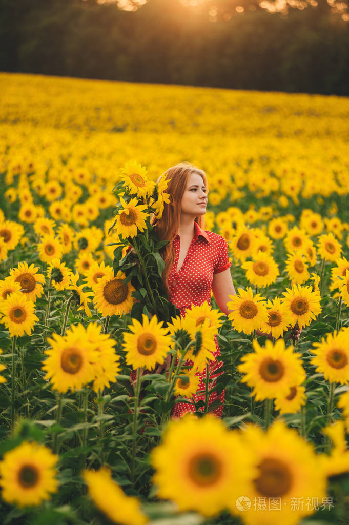 beautifulgirlinahugeyellowfieldofsunflowers