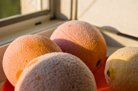 冰冻的橘子和柠檬放在红色盘子里,上面覆盖着霜照片