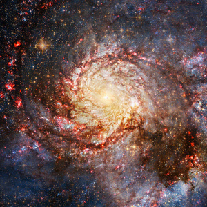 c向cep芡实探索海底(海蝎)老式无缝图案,无尽的纹理背景.