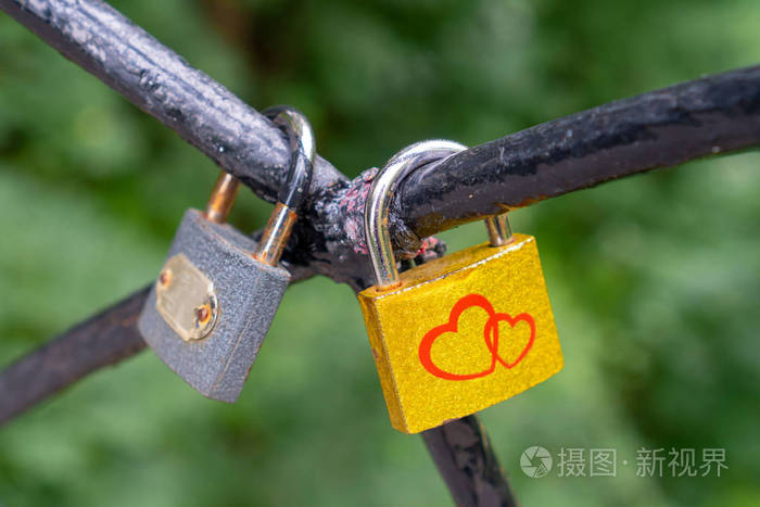 锁爱和忠诚的象征挂在铁棍上红心画在黄色的锁上公园里的一棵铁树上挂