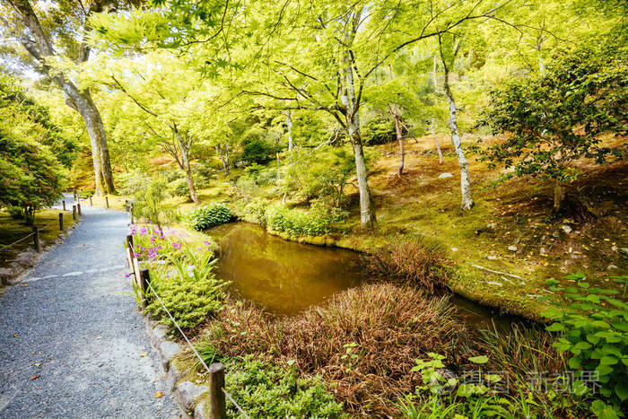 日本京都天佑寺花园照片 正版商用图片2phw4q 摄图新视界