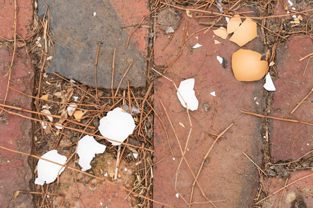 鸡蛋碎了石头地板上的蛋壳特写.鸡蛋碎照片