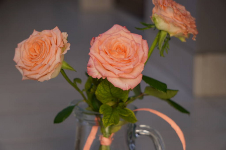 三朵珊瑚玫瑰与绿叶形成对比,柔和的粉红色玫瑰在阳光下近距离照射.