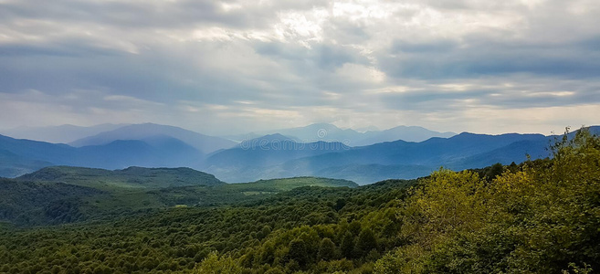 山森林风景在指已提到的人脚关于指已提到的人高加索山脉山s