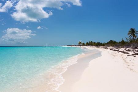 风景关于指已提到的人海滩采用指已提到的人加勒比海海