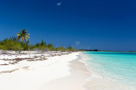 风景关于指已提到的人海滩采用指已提到的人加勒比海海