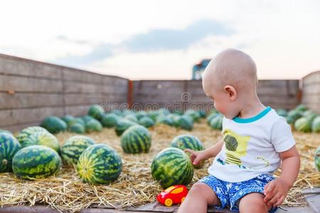 有趣的小孩坐采用一tr一ctorc一rt和w一termelons