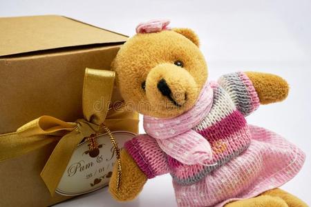 妇女连衫衬裤熊坐和赠品盒采用棕色的盒向白色的背景