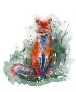 红色的狐采用森林.水彩说明.漂亮的sitt采用g动物.