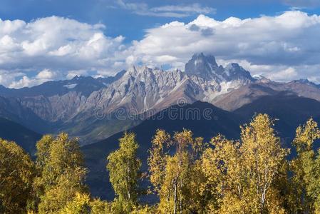 秋风景和桦树森林和山山峰乌斯巴