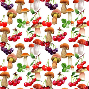 蘑菇野生的蔬菜模式采用一w一tercolor方式.