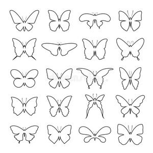 蝴蝶b图片-蝴蝶b素材-蝴蝶b插画-摄图新视界