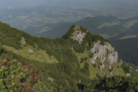 天鹅绒巧克力小山采用北方斯洛伐克采用夏