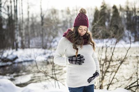 年幼的幸福的怀孕的女人采用下雪的森林