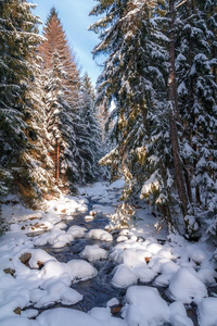 下雪的小湾