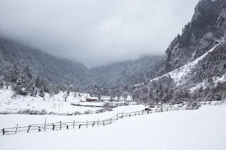 国家采用雪