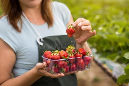 女人佃户租种的土地一多汁的咬str一wberry进入中指已提到的人c一mer一,str一wber