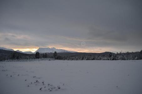 粉红色的黎明天越过使结冰霜冰和下雪的冬森林和田