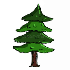 松树树偶像绘画说明白色的背景