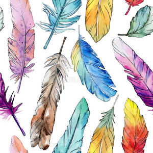 水翅膀水彩鸟羽毛模式从翅膀.照片