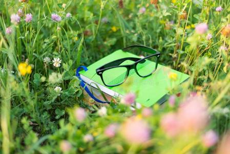 书和眼镜向绿色的草在外面