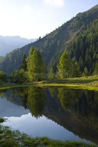 湖和山森林风景