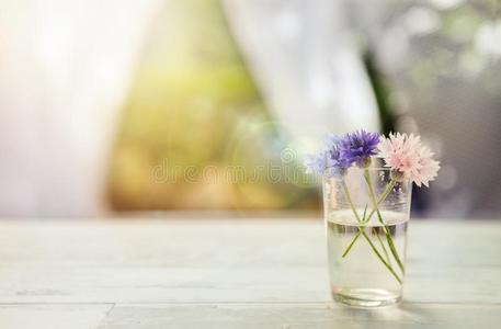 花采用玻璃装饰瓶
