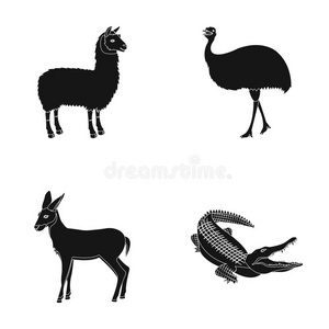 喇嘛,鸵鸟鸸鹋,年幼的羚羊,动物鳄鱼.野生的动物