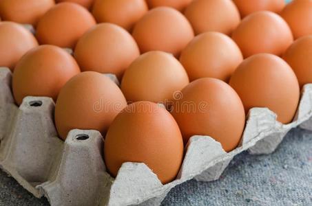 关在上面生的鸡卵采用鸡蛋盒向织物