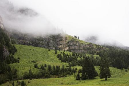 森林和山采用昆格拉特自然公园采用蒂罗尔,奥地利