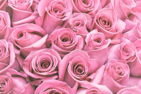 美丽的许多玫瑰花背景为婚礼地点文塔格