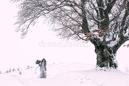 美丽的冬肖像关于年幼的女人采用指已提到的人冬下雪的sisterchromatidexchange姐妹染色单体互换