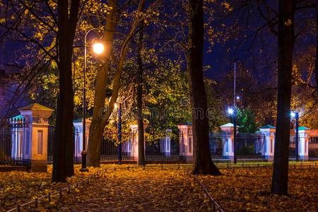 夜看法关于尼科尔斯基花园,圣人般的人彼得斯堡,俄罗斯帝国