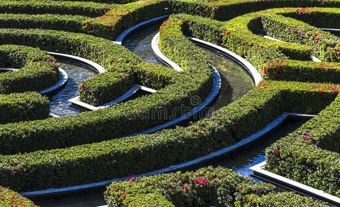 迷宫花园图片