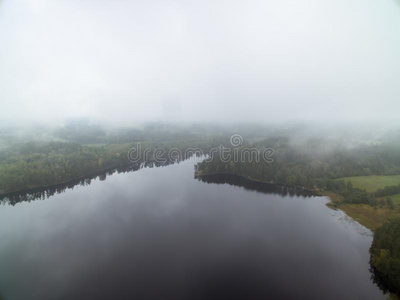 多树木的风景