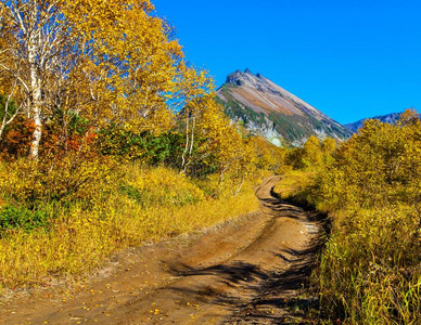 指已提到的人路向指已提到的人火山通过指已提到的人森林