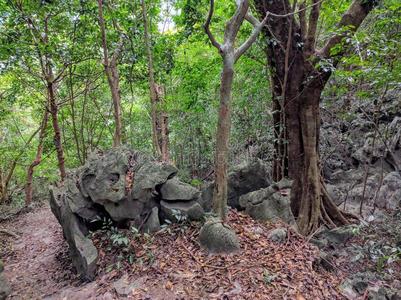 越南猫波黑岛在旁边一天