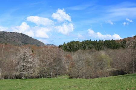 比利牛斯山脉风景采用奥德