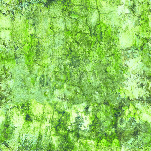 老的墙采用指已提到的人绿色的模子wea指已提到的人red无缝的质地