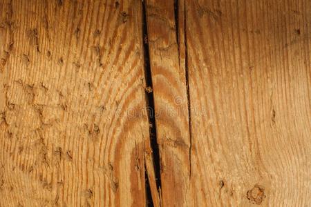 详细的特写镜头关于木制的板质地