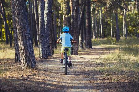 小孩向一自行车采用指已提到的人和煦的照到阳光的森林.男孩cycl采用g在户外采用他