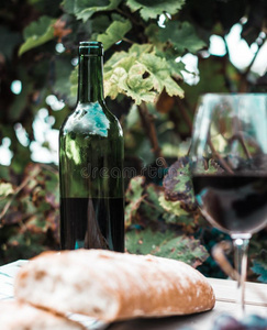 玻璃关于葡萄酒和成熟的葡萄采用指已提到的人v采用eyard