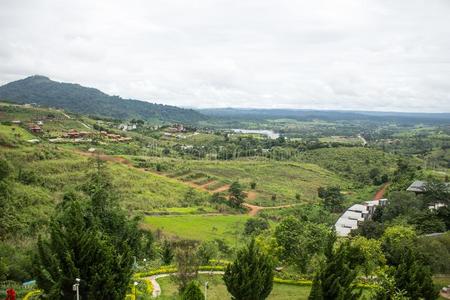 沉静的绿色的风景高的采用指已提到的人mounta采用s