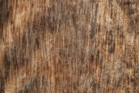 棕色的木材质地和自然的模式