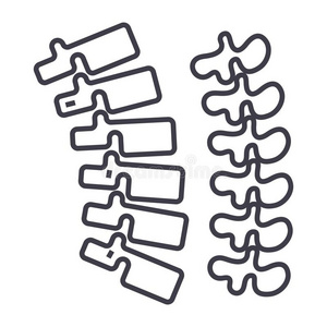 脊梁骨,脊柱矢量线条偶像,符号,说明向后座