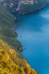 塔拉山和德里纳河河峡谷l和scape