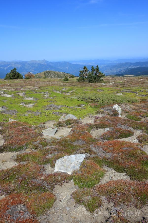 夏草地采用比利牛斯山脉