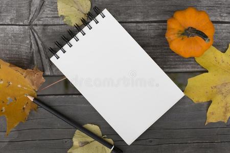 秋作品和空白的笔记簿阵亡者树叶和南瓜