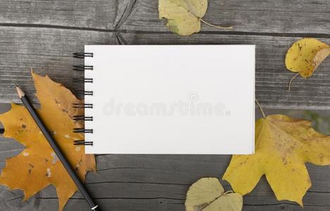 秋作品和空白的笔记簿和阵亡者树叶