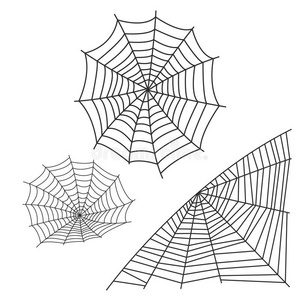 蜘蛛蜘蛛网轮廓蛛形纲动物害怕图解的平的使人惊慌的动物demand需要